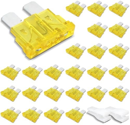 Innfeeltech 25 pezzi fusibile automobilistico di dimensioni standard, fusibile auto piatto 20A con 2 clip di plastica per auto, camion e moto