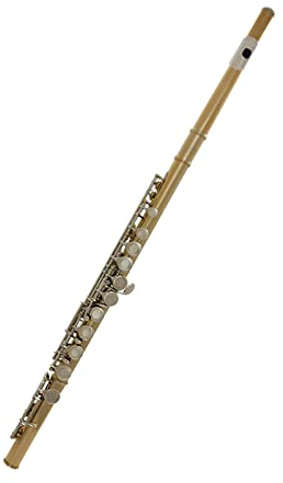 TSTS 16-Loch Flöte Golden Silver Key Flöte Mit Aufbewahrungsbox Zubehör Professionelles Holzblasinstrument Einsteiger Querflöten