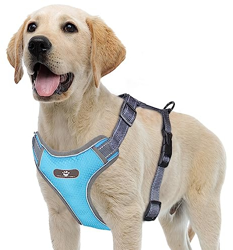 Acxilexy Imbracatura per Cani, No-Pull, Traspirante e Riflettente, 4 Cinghie Regolabili, Anti Tiro, Facile da Indossare, Morbida per Cani di Taglia Grande, Media e Piccola