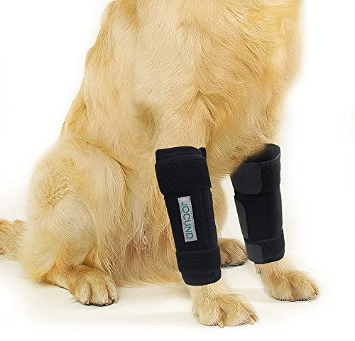 Jocund Vorderbeinbandage für Hunde, 1 Paar, Hunde-Beinbandage mit Metallstreifen, Sprunggelenkbandage für die Karpalstütze, schützt Wunden, heilt und verhindert Verletzungen und Verstauchungen (L/XL)