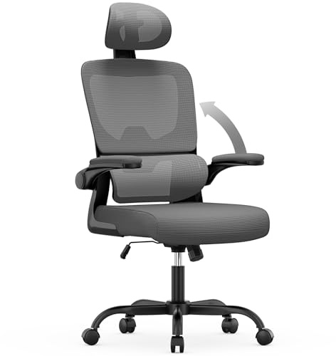 naspaluro Bürostuhl, Ergonomischer Schreibtischstuhl mit Verstellbarer Kopfstütze, Armlehnen, Dynamischer Lordosenstütze, Drehstuhl mit Atmungsaktivem Netzbezug für das Home Office,Dunkelgrau
