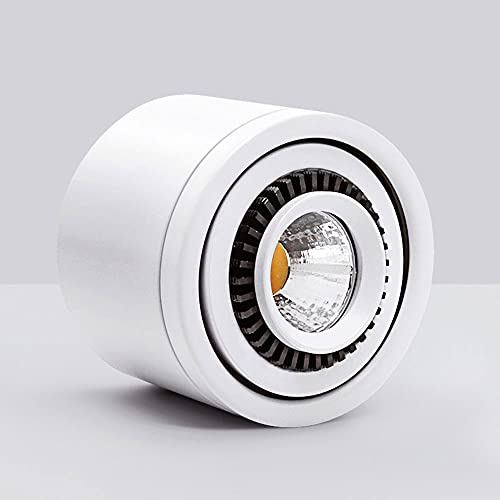 Foco LED de Superficie con luz de Acento, Foco de Techo de Aluminio Blanco Ajustable, Foco direccional de Interior para Cocina, Sala de Estar, galería y Pasillo.