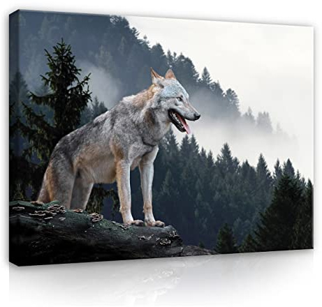 WallArena Leinwand Bilder - Wolf Wald Nebel Natur Landschaft - 120x80 cm | Leinwandbilder, Bild auf leinwand, Wandbild XXL groß Wandbilder für Wohnzimmer Schlafzimmer Wohnzimmerbilder
