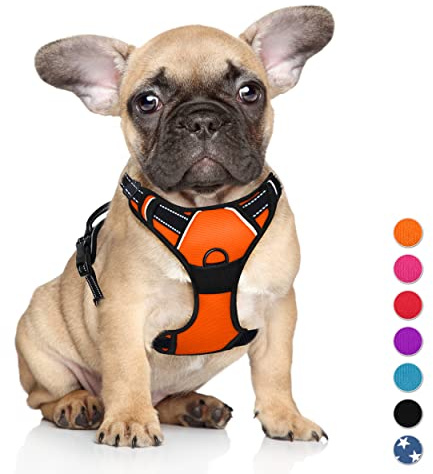 BARKBAY No Pull Dog Harness Large Step in Reflective Dog Harness with Front Clip and Easy Control Handle for Walking Training Running(Orange,S)