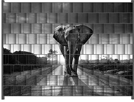 Wallario Zaun Sichtschutz Windschutz für EIN- und Doppelstabmattenzäune in der Größe Breite 2,50m x Höhe 1,80m, Motiv: Elefant bei Sonnenaufgang in Afrika schwarzweiß