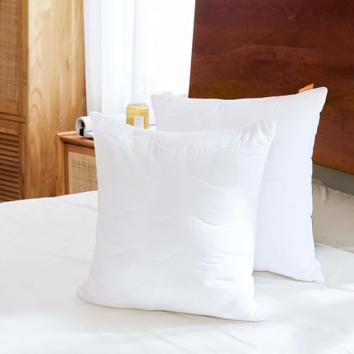 Sweetnight Kopfkissen 40x40 2er Set, Kissen aus Polyesterholfaser Kissenfüllungen, Weiches und Stützendes Kissen für alle Schlafpositionen, atmungsaktives Schlafkissen Waschbar mit Reißverschluss