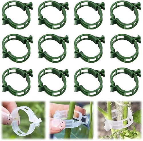 Plant Clips, 2026 New Outdoor Plants Clips, Plant Clips for Climbing Plants, Twine Vine Trellis Cage, Vegetable Garden Plant Support Clips Grafting Tools (200, Green)