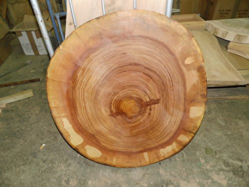 KJR Holzmanufaktur Baumscheibe, Holzscheibe, ca.50 x 10 cm, basteln, Holz, geschliffen, geölt, Esche