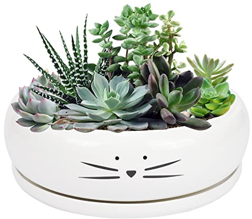 Koolkatkoo 8 Inch Large Cute Cat Ceramic Succulent Planter Pots with Removable Saucer Unique Porcelain Cactus Planters Decorative Flower Pot for Cat Lovers White