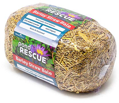 AllPondSolutions Barley Straw Bale Pond Treatment – Natural Algae & Blanketweed Control for Clear Pond Water (6.0)