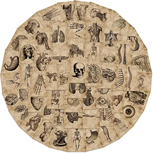 APAREAL Sticker Set 50 Stück, Menschliches Skelett Aufkleber Graffiti Decals für Laptop Fahrrad Skateboard Snowboard Koffer Scrapbook, Wasserfeste Vinyl Vintage Schädel Sticker für Teenager Erwachsene