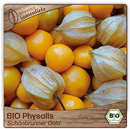 Samenliebe BIO Physalis Samen Schönbrunner Gold 10 Samen samenfestes Gemüse Saatgut für Garten Freiland und Balkon BIO Gemüsesamen