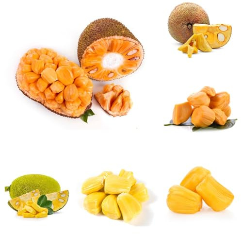 Jackfrucht, balkonpflanzen säulenobstbäume winterhart obstgarten obstbäume kaufen obstpflanzen steingartenpflanzen frisches 10Samen