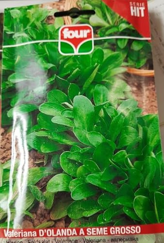 Bustina di Semi sementi per Ortaggi Professionali Hit, 1 Bustina (valeriana d'olandaa seme grosso)