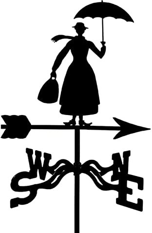 RKYRRKI Wetterfahne aus Metall, Edelstahl, Windrichtungsanzeiger, Gartenpflock, Außenhof, Wetterfahne, Schmiedeeisen, professionelles Messwerkzeug, Hof, Dachmontage, Dekoration, einfach