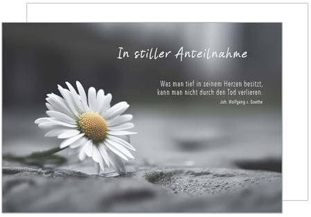 Edition Seidel Premium Trauerkarte mit Umschlag. Beileidskarte Trauer Karte mit Spruch In stiller Anteilnahme Blume (T1172 SW024)
