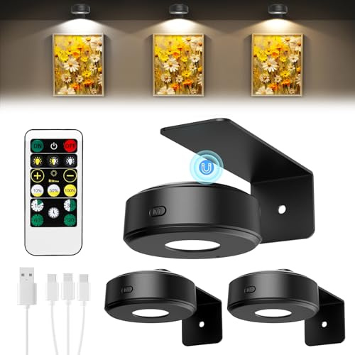 Lightbiz Bilderleuchte Kabellos, Bildbeleuchtung Akku mit Fernbedienung & Timer, Dimmbar mit 3 Farbtemperaturen, Bilderlampe für Bilderrahmen, Picture Light für Kunstwerke, Vitrinen & Regal-Black