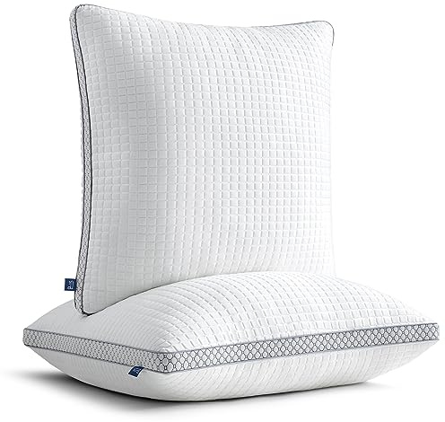 BedStory Cuscino per la testa, 50 x 50, imbottitura in fibra regolabile, con chiusura lampo, set da 2 in microfibra, 600 g x 2 cm, lavabile per chi soffre di allergie, chi dorme sul fianco e schiena