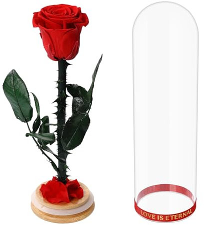 Faneeyo Rosa preservada Regalos para Mujeres,Día de la Madre Regalos,Cumpleaños Navidad Día de San Valentín Boda Regalo para Mamá Novia Esposa Abuela,Rosa Eterna con Tallo,Rojo