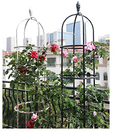 Treillis de Jardin pour Plantes grimpantes, obélisque, Tour pour Plantes en Pot, intérieur et extérieur, légumes, Blanc, 40 x 210 cm