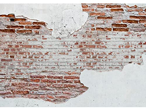 Runa Art Fototapete Steinwand Modern Vlies Wohnzimmer Schlafzimmer - Made in Germany - 308 x 220 cm Weiss Braun 9083010a