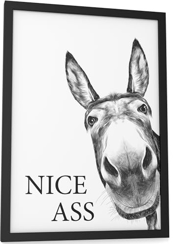 Papierschmiede® Bilder Home Kunstdruck mit Rahmen in A4 (21x30 cm) Spruch Zuhause Bild Wanddeko in schwarz weiß, Sprüche für Wohnzimmer Büro Küche Badezimmer WC, Esel Nice