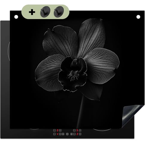 KitchenYeah© Herdabdeckplatte Einteilig Küche Herdabdeckung Induktionsfeld | 60x52 cm - Ceranfeld Herdabdeckplatten Vinyl Matte, Spritzschutz Küchenrückwand Schwarz - Blume - Orchidee