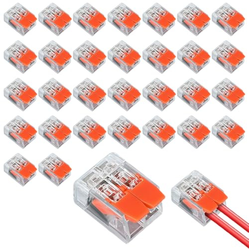 YAYNO 30 Piezas Conexiones Cables Electricos Bornas de Conexion Electrica Clemas Electricas Rapidas Terminales de 2 Pines con Palanca de Control Conectores Electricos Rapidos
