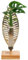 Dehner Waterplant Fensterblatt Verona, Monstera adansonii, Wasserpflanze im Reagenzglas, Ø 3 cm, Höhe 25 cm, Zimmerpflanze