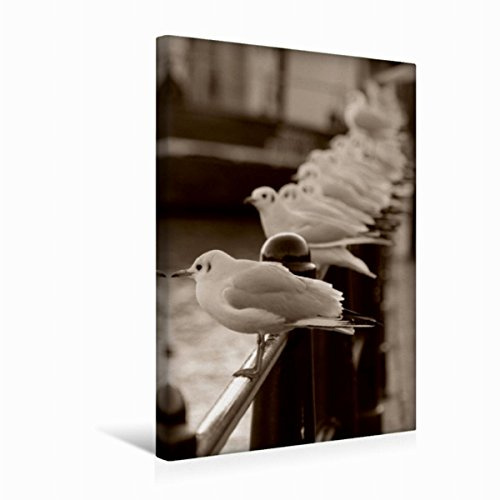 Premium Textil-Leinwand 30 x 45 cm Hoch-Format Möwen an der Promenade in Leer | Wandbild, HD-Bild auf Keilrahmen, Fertigbild auf hochwertigem Vlies, Leinwanddruck von Peter Hebgen