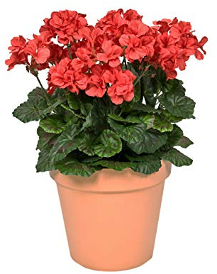 GreenBrokers Künstliche Geranien, 45 cm, Terrakotta