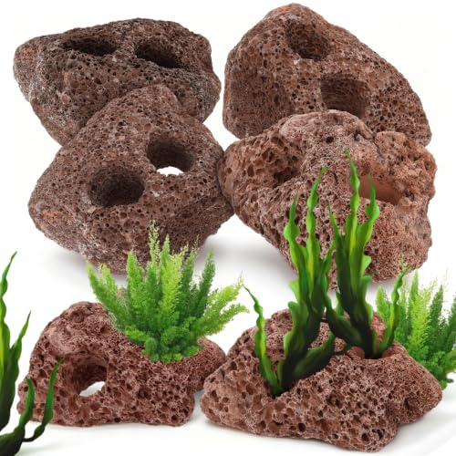 Yardwe Aquarium Volcanic Rocks Ornament Natural Lava Rock Aquarium Stones with Dual Holes Fish Tank Volcanic Stone for Aquatic Plant Fixing Shrimp Caves Bio Media Mixed Sizes
