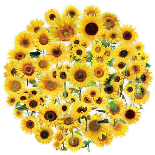 50Stück Transparente Sonnenblumen Aufkleber für Motorrad,Koffer,Gepäck,Kühlschrank,Laptop,Niedliche Pflanzen Wasserdicht Vinyl Sticker,Geschenk für Kinder Erwachsene,Sunflower Blumen Graffiti Sticker