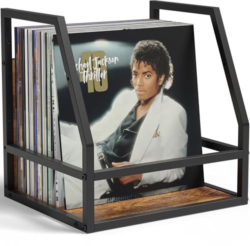 HFHOME 2 In 1 Vinyl Record Storage Crate, 1PC Wood LP Holder, Wall Mount or Desktop Metal Album Organizer, Holds 80+ Records, Multifunctional Stackable Magazine Display Shelf