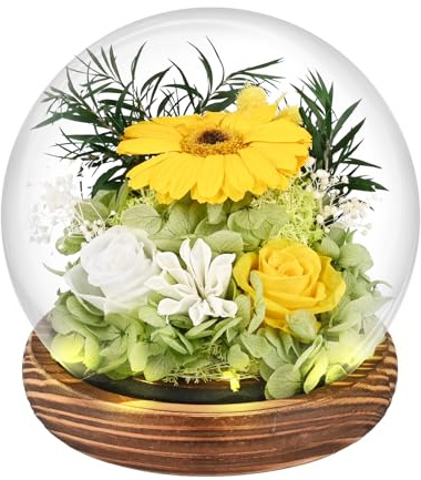 Comius Sharp Ewige Infinity Rosen Im Glas, Ewige Rose Geschenke,Blumen Geburtstagsgeschenk Mama Freundin,Geschenk für Frau Freundinnen Geburtstag für Jahrestag Geschenk für Sie (C)