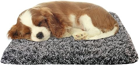 Selbstheizende Decke für Katzen & Hunde: Katzenbett Selbstheizende Decke Katze waschbar abnehmbar Hundedecke flauschig Wärmedecke ohne Strom Selbstwärmende, für Katzen und kleine Hunde (48x70cm)
