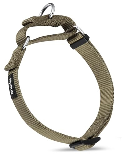 Hyhug Martingale Halsband für große Hunde, Grün, zugstopp | Robustes Nylon mit Zugstopp, fester Sitz für kräftige Hunde. Ideal für Training & Park. Langlebig, verstellbar