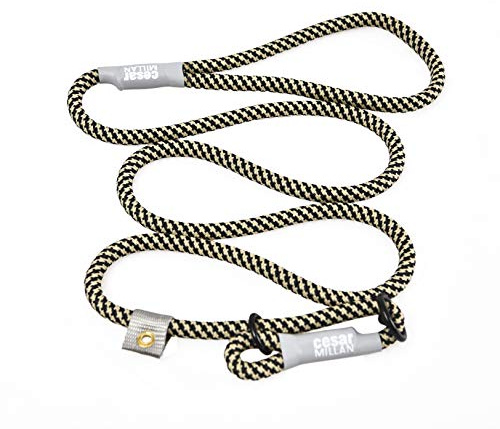 Cesar Millan Leine - Trainingsleine für Hunde - 2in1 Halsband Hund und Leine - Slip Lead - Retrieverleine mit integrierter Halsung - Länge 120cm Durchmesser 1cm Farbe Schwarz/Gelb