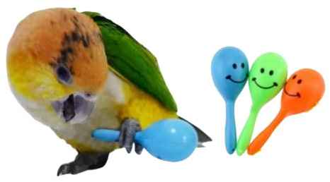 3PCS- Colourful Mini Ball Sand Hammer Parrot Rattle Shaker Musical Sound Toy Intelligent Sand Hammer Toys for Parakeets Canaries Cockatiels Conure Lovebirds(Random Color)