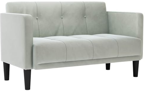 vidaXL Zweisitzer-Sofa Hellgrau 111 cm Samt, 2-Sitzer-Sofa, Couch, Wohnzimmer-Sitzmöbel, Sofa, gepolstertes Sofa, Wohnzimmersofa, 2-Sitzer-Couch