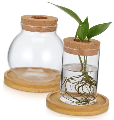 GALPADA 2pièces Petit Pot Verre pour Plantes Hydroponiques Terrarium Verre avec Couvercle Vases De Propagation pour Plantes Intérieur Et Fleurs