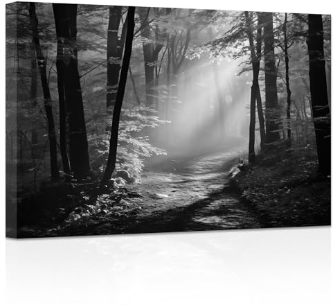 ZXHYWYM Schwarz Weiß Waldbilder Wald Sonnenschein Baum Malerei Natur Landschaft Leinwanddrucke Kunstwerk für Wohnzimmer Büro Schlafzimmer Gerahmt (Bild-2, (50.00 x 75.00 cms))
