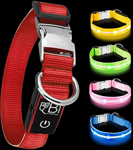 Leuchthalsband für Hunde [Das Original] Leuchtendes LED Hundehalsband zum spazieren gehen auch im Dunkeln- sehr Lange Akkulaufzeit – Sicher Dank hochwertigem Metallverschluss (M (38-50 cm), Rot)