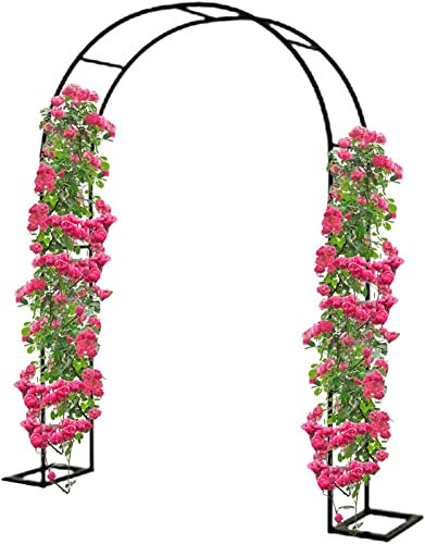 Arche Jardin pour Rosiers Plantes Grimpantes, Metal Arceau à Rosiers, Arche de Rosiers Vigne Mariage, Pergola Tonnelle de Jardin, Intérieur Extérieur Décoration de Fête,350x220x40CM