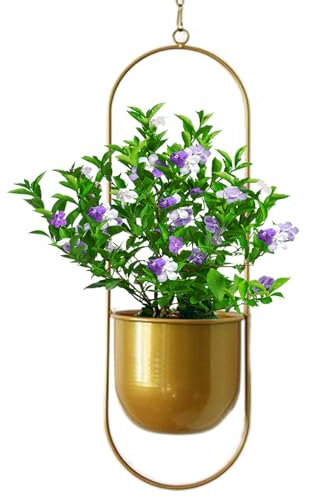 Cesta colgante para plantas suculentas - Macetero de techo, maceta con techo | Cesta de flores colgante, macetas para plantas de interior colgantes, adorno decorativo para el hogar y el balcón