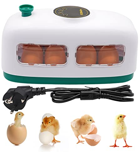 8 Eier Inkubator Hühner Brutmaschine für Geflügeleier, Kleiner Eierbrutschrank in Zugform mit Led-eilicht, Digitale Temperaturregelung Brutautomat Zum Brüten von Vögeln, Wachteln und Tauben (Weiß)