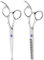 Set di Forbici per Sfoltire i Capelli Professionali, Cesoie per Parrucchieri da Barbiere di Famiglia (viti blu)