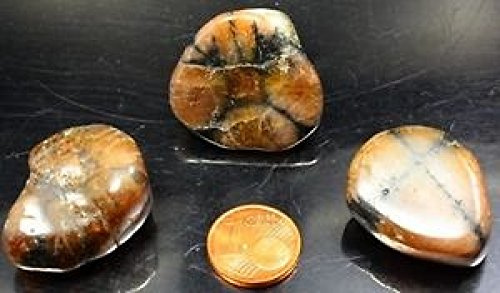 1 Chiastolith Kreuzstein Trommelstein Taschenstein Handschmeichler I Glücksbringer I Energiearbeit | Meditation I Lucky Stone I Glückssteine | Mineralien | Dekosteine I