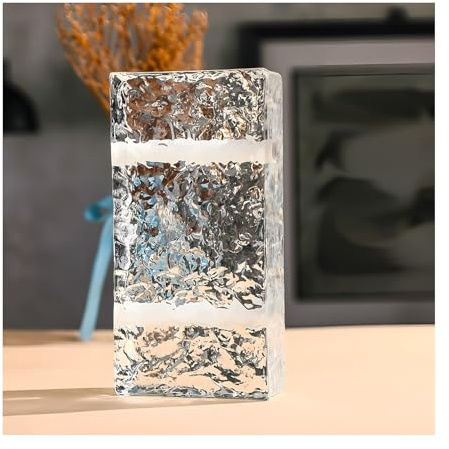 ZBORAVPIX Hochtransparenter klarer rechteckiger Glasstein, Glasbaustein mit Loch 7,8 x 3,9 x 1,9 Zoll Packung mit 5 oder 10 Stück(5pcs)
