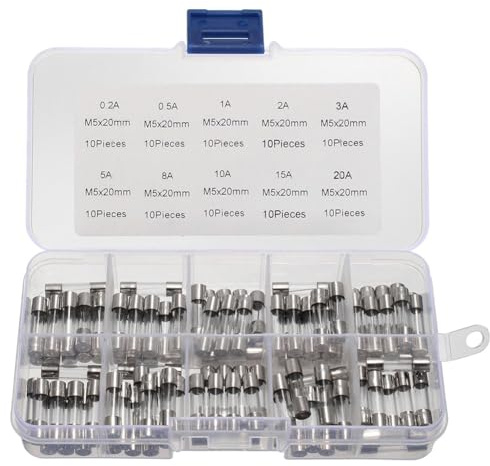 YZWHKJ Glassicherungen,Glasrohrsicherungen 100-teiliges Glasrohrsicherungs-Sortiment, Amp 0,2 A – 20 A, flinke Glasrohrsicherung, Glassicherungs-Sortiment mit Aufbewahrungsbox